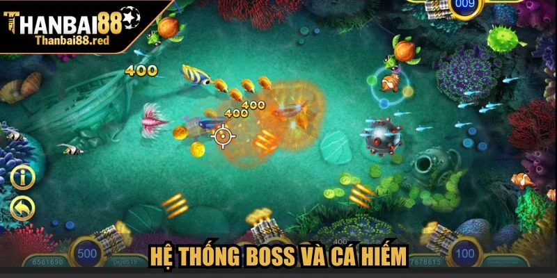 Hệ thống boss và cá hiếm